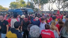 Imagem de Alegria na Madeira pelo titulo do Benfica (vídeo)