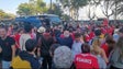 Alegria na Madeira pelo titulo do Benfica (vídeo)