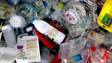 Imagem de Quercus alerta para metas por cumprir no Dia Internacional da Reciclagem