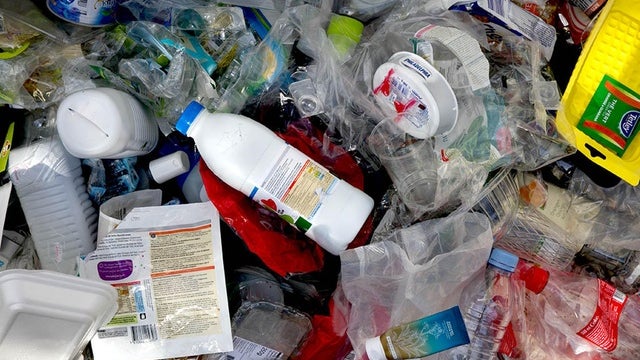 Imagem de Quercus alerta para metas por cumprir no Dia Internacional da Reciclagem