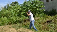 Freguesias vão ter mais poder para limpar terrenos