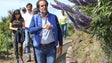 Imagem de Covid-19: Albuquerque diz que aumento de casos deve-se a falta de decisões do Governo central (Vídeo)