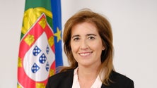 Imagem de Investir nas crianças é fundamental para quebrar ciclos de pobreza
