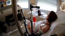 Imagem de Madeira regista cerca de mil novos casos de cancro por ano (vídeo)