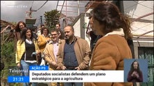 PS defende plano estratégico para a agricultura da Madeira (vídeo)