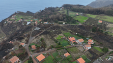 Açores ajuda Madeira com ração para animais (vídeo)