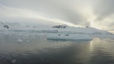 Imagem de Cientista açoriano investiga na Antárctida (Vídeo)