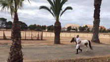 Imagem de Albuquerque foi ao Porto Santo inaugurar obras no valor de um milhão e 250 mil euros (vídeo)