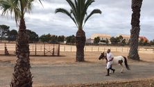 Albuquerque foi ao Porto Santo inaugurar obras no valor de um milhão e 250 mil euros (vídeo)