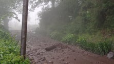 Imagem de Derrocadas e inundações em Câmara de Lobos