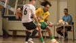 Imagem de Futsal: Equipas da Madeira já conhecem adversários da Taça de Portugal