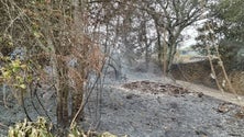 Imagem de Uma semana após os incêndios é tempo de fazer levantamento aos estragos (áudio)