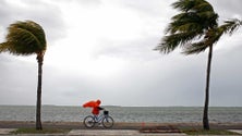 Imagem de Madeira sob aviso amarelo devido ao vento forte e ao calor