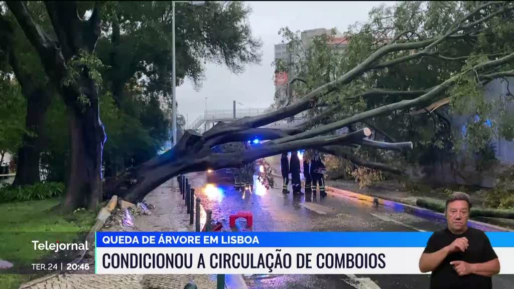 Mau tempo provocou queda de uma árvore numa linha de comboio em Lisboa