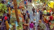 Velharias levam muitas pessoas ao Mercado dos Lavradores