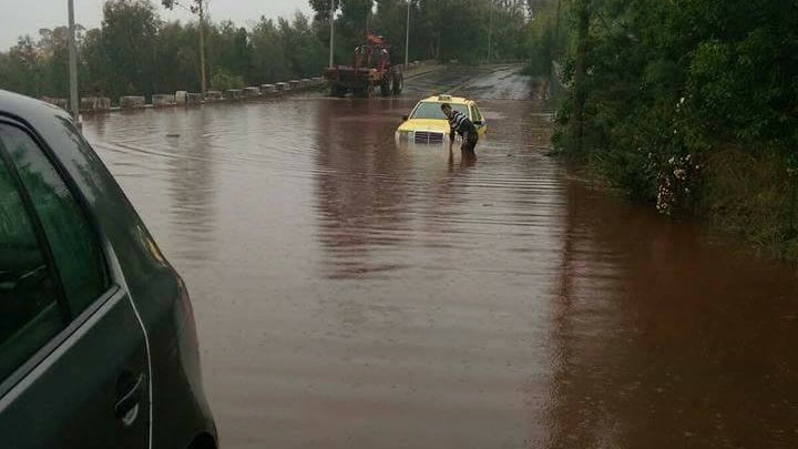 Imagem de Chuva forte provoca inundações em Gaula e Santa Cruz
