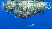 Imagem de Madeira vai tomar medidas de combate ao lixo marinho com base em projeto europeu
