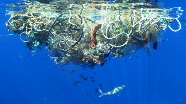 Imagem de Madeira vai tomar medidas de combate ao lixo marinho com base em projeto europeu