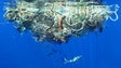 Madeira vai tomar medidas de combate ao lixo marinho com base em projeto europeu