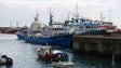 Imagem de Coopesca recebeu 175 mil euros para embarcações japonesas pescarem atum rabilho nas águas portuguesas (Vídeo)