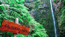 Imagem de Levada do Caldeirão Verde encerrada  (áudio)