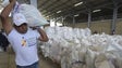 Imagem de Venezuela: Ajuda humanitária dos Estados Unidos vai ser distribuída na Colômbia