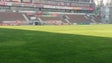 Interdição ao relvado do Estádio do Marítimo levantada