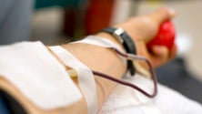 Imagem de Hoje é o Dia do Dador de Sangue (Som)