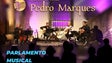 Quarteto de Cordas Pedro Marques para ver este domingo