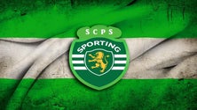 Imagem de Nova presidente do Sporting do Porto Santo quer manter o clube activo