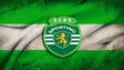 Imagem de Nova presidente do Sporting do Porto Santo quer manter o clube activo