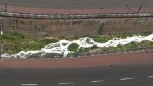Imagem de Funchal vai denunciar poluição na ribeira