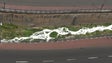 Imagem de Funchal vai denunciar poluição na ribeira