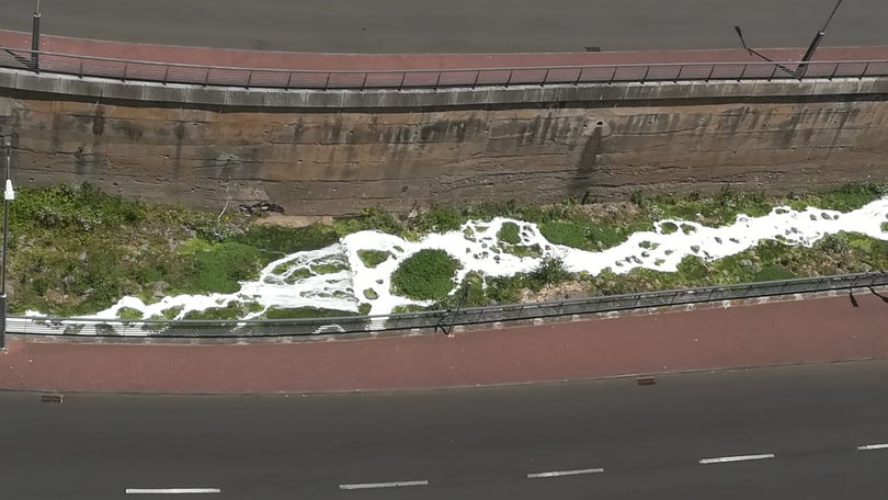 Imagem de Funchal vai denunciar poluição na ribeira