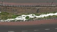 Funchal vai denunciar poluição na ribeira