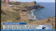 Imagem de Dinamarqueses no Portinho (Vídeo)