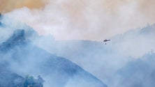 Imagem de Cerca de oito mil pessoas retiradas devido a incêndio na Grande Canária