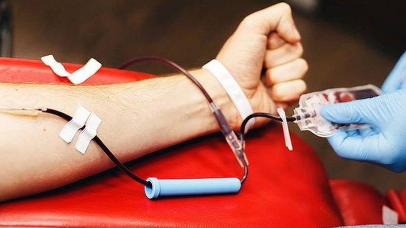 Covid-19: Instituto apela à dádiva de sangue