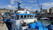 Imagem de Safra do atum na Madeira envolve 30 embarcações e 400 pescadores