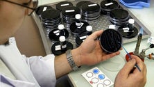 Imagem de Tudo o que precisa de saber sobre a Legionella