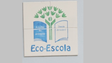 Imagem de Madeira é a região do país com mais galardões Eco Escola (áudio)