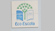 Madeira é a região do país com mais galardões Eco Escola (áudio)