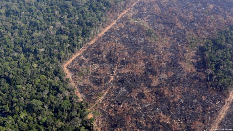 Destruição da Amazónia bate recorde no trimestre