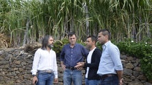 Imagem de Governo Regional vai compensar produtores afetados pela tempestade Bernard (áudio)