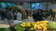 Imagem de Madeira deve diversificar a oferta turística (vídeo)