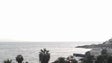 Imagem de Capitania do Funchal emite aviso de mau tempo no mar