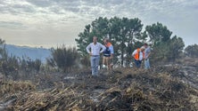 Bombeiros fazem contenção do fogo na Calheta (vídeo)