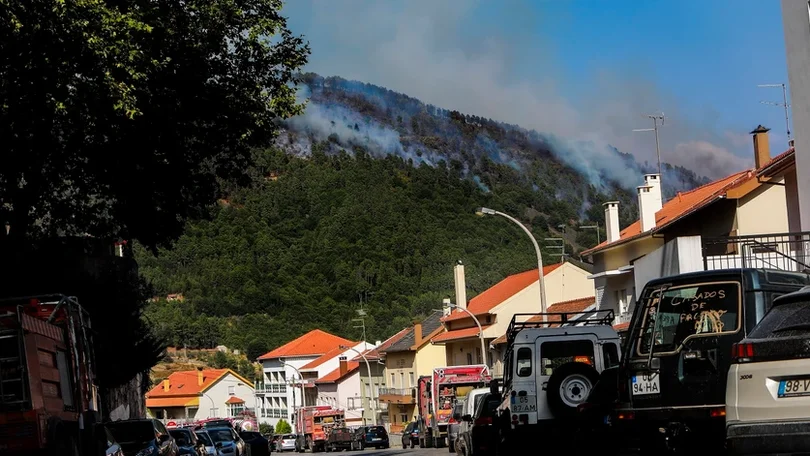 Incêndios: Cerca de 10.000 hectares já arderam na Serra da Estrela