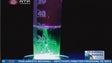 Imagem de Centro de química da Madeira divulga técnica para identificar células cancerígenas (Vídeo)