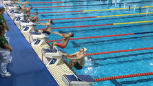 Imagem de Campeonato nacional de natação será na Penteada (áudio)